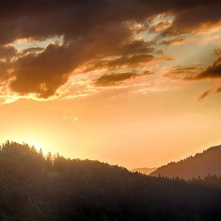 Gostilna Pension Blegos Poljane nad Škofjo Loko Εξωτερικό φωτογραφία